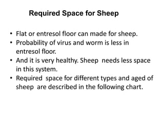 Required Space for Sheep
• Flat or entresol floor can made for sheep.
• Probability of virus and worm is less in
entresol floor.
• And it is very healthy. Sheep needs less space
in this system.
• Required space for different types and aged of
sheep are described in the following chart.
 