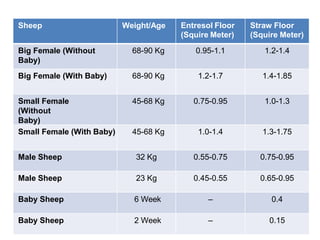 Sheep Weight/Age Entresol Floor
(Squire Meter)
Straw Floor
(Squire Meter)
Big Female (Without
Baby)
68-90 Kg 0.95-1.1 1.2-1.4
Big Female (With Baby) 68-90 Kg 1.2-1.7 1.4-1.85
Small Female
(Without
Baby)
45-68 Kg 0.75-0.95 1.0-1.3
Small Female (With Baby) 45-68 Kg 1.0-1.4 1.3-1.75
Male Sheep 32 Kg 0.55-0.75 0.75-0.95
Male Sheep 23 Kg 0.45-0.55 0.65-0.95
Baby Sheep 6 Week – 0.4
Baby Sheep 2 Week – 0.15
 