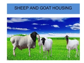 SHEEP AND GOAT HOUSING
 