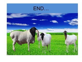 END…
…..
 