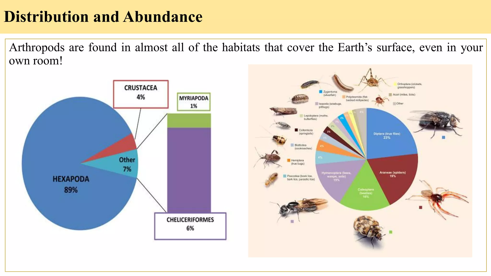 Distribution and Abundance
Arthropods are found in almost all of the habitats that cover the Earth’s surface, even in your
own room!
 
