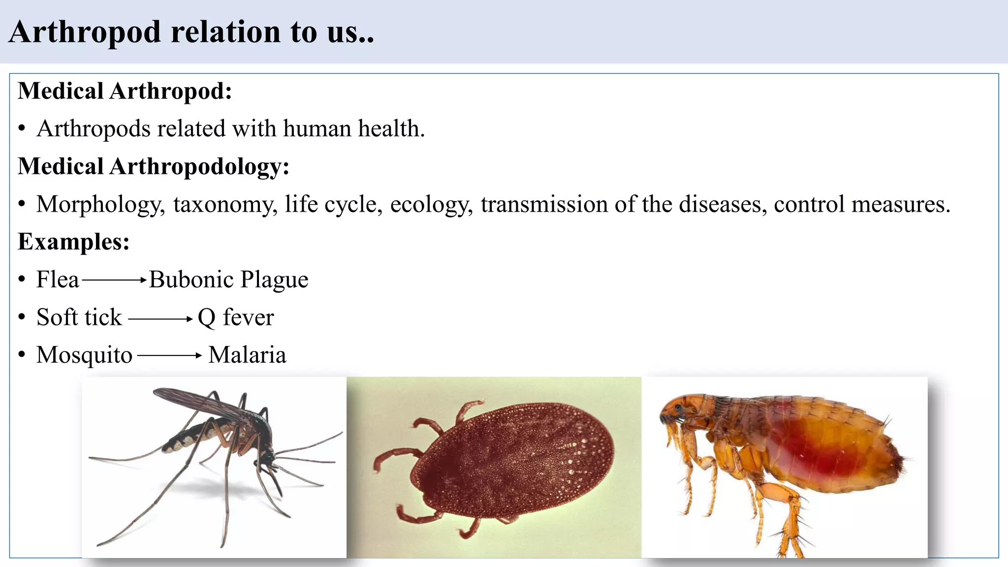 Arthropod relation to us..
Medical Arthropod:
• Arthropods related with human health.
Medical Arthropodology:
• Morphology, taxonomy, life cycle, ecology, transmission of the diseases, control measures.
Examples:
• Flea Bubonic Plague
• Soft tick Q fever
• Mosquito Malaria
 