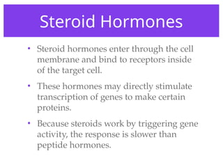 Steroid Hormones
• Steroid hormones enter through the cell
membrane and bind to receptors inside
of the target cell.
• These hormones may directly stimulate
transcription of genes to make certain
proteins.
• Because steroids work by triggering gene
activity, the response is slower than
peptide hormones.
 