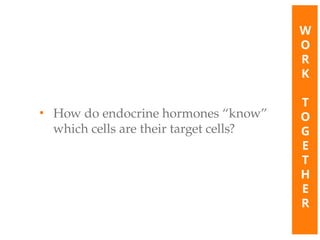 • How do endocrine hormones “know”
which cells are their target cells?
W
O
R
K
T
O
G
E
T
H
E
R
 