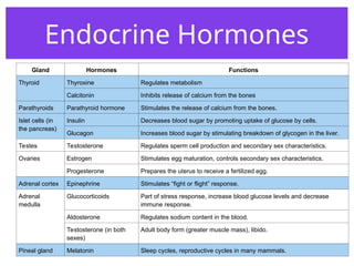 Endocrine Hormones
Gland Hormones Functions
Thyroid Thyroxine Regulates metabolism
Calcitonin Inhibits release of calcium from the bones
Parathyroids Parathyroid hormone Stimulates the release of calcium from the bones.
Islet cells (in
the pancreas)
Insulin Decreases blood sugar by promoting uptake of glucose by cells.
Glucagon Increases blood sugar by stimulating breakdown of glycogen in the liver.
Testes Testosterone Regulates sperm cell production and secondary sex characteristics.
Ovaries Estrogen Stimulates egg maturation, controls secondary sex characteristics.
Progesterone Prepares the uterus to receive a fertilized egg.
Adrenal cortex Epinephrine Stimulates “fight or flight” response.
Adrenal
medulla
Glucocorticoids Part of stress response, increase blood glucose levels and decrease
immune response.
Aldosterone Regulates sodium content in the blood.
Testosterone (in both
sexes)
Adult body form (greater muscle mass), libido.
Pineal gland Melatonin Sleep cycles, reproductive cycles in many mammals.
 