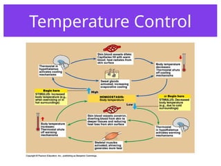 Temperature Control
 