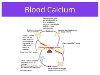 Blood Calcium
 