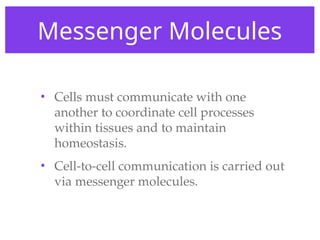 Messenger Molecules
• Cells must communicate with one
another to coordinate cell processes
within tissues and to maintain
homeostasis.
• Cell-to-cell communication is carried out
via messenger molecules.
 