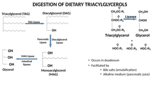 DIGESTION OF DIETARY TRIACYLGLYCEROLS
TAG Lipase
Diacylglycerol
Lipase
OH
OH
OH
MAG Lipase
OH
OH
OH
Triacylglycerol (TAG) Diacylglycerol (DAG)
Monoacylglycerol
(MAG)
Glycerol
O
O
O
O O O
+
HOC-R3
HOC-R2
HOC-R1
Triacylglycerol Glycerol
Lipases
CH2OH
CHOH
CH2OH
CH2OC-R1
CHOC-R2
CH2OC-R3
Pancreatic
Lipase
• Occurs in duodenum
• Facilitated by
• Bile salts (emulsification)
• Alkaline medium (pancreatic juice)
Intestinal
lipases
 