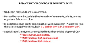• Odd chain fatty acids are less common.
• Formed by some bacteria in the stomachs of ruminants, plants, marine
organisms & human colon.
• β-oxidation occurs pretty same much as with even chain FA until the final
thiolase cleavage which results in a 3 carbon acyl-CoA (Propionyl-CoA)
• Special set of 3 enzymes are required to further oxidize propionyl-CoA
Propionyl-CoA carboxylase,
Methylmalonyl-CoA epimerase and
Methylmalonyl-CoA mutase.
BETA OXIDATION OF ODD CARBON FATTY ACIDS
 