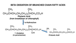 BETA OXIDATION OF BRANCHED CHAIN FATTY ACIDS
CH3 CH3
CH3(CHCH2CH2CH2)3CHCH2CO2H
Phytanic Acid
(from breakdown of chlorophyll)
CH3 CH3
OH
CH3(CHCH2CH2CH2)3CHCHCO 2H CH3 CH3
CH3(CHCH2CH2CH2)3CHCO 2H
α-Hydroxylase
-Oxidation
(in peroxisomes)
CO2
Pristanic Acid
 