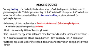 KETONE BODIES
During fasting or carbohydrate starvation, OAA is depleted in liver due to
gluconeogenesis. This impedes entry of A-CoA into Krebs cycle. A-CoA in liver
mitochondria is converted then to ketone bodies, acetoacetate & b-
hydroxybutyrate.
• Made up of two molecules – Acetoacetate and β-hydroxybutyrate
• And the breakdown product acetone
• Brain uses nearly 70% of body's glucose.
• Fat – major energy store releases Free Fatty acids under increased demand.
• FFA cannot cross the blood brain barrier + low capacity for FA oxidation
• Ketones are used under increased demand and starvation conditions by the
brain
 