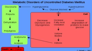 Ketone Bodies
 
