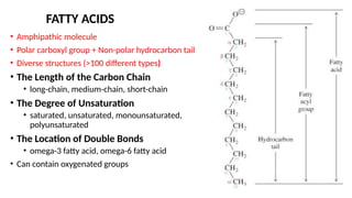 FATTY ACIDS
• Amphipathic molecule
• Polar carboxyl group + Non-polar hydrocarbon tail
• Diverse structures (>100 different types)
• The Length of the Carbon Chain
• long-chain, medium-chain, short-chain
• The Degree of Unsaturation
• saturated, unsaturated, monounsaturated,
polyunsaturated
• The Location of Double Bonds
• omega-3 fatty acid, omega-6 fatty acid
• Can contain oxygenated groups
 
