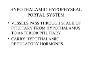 HYPOTHALAMIC-HYPOPHYSEAL
PORTAL SYSTEM
• VESSELS PASS THROUGH STALK OF
PITUITARY FROM HYPOTHALAMUS
TO ANTERIOR PITUITARY
• CARRY HYPOTHALAMIC
REGULATORY HORMONES
 