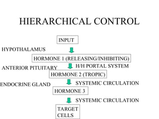 HIERARCHICAL CONTROL
INPUT
HORMONE 1 (RELEASING/INHIBITING)
HORMONE 2 (TROPIC)
HORMONE 3
TARGET
CELLS
SYSTEMIC CIRCULATION
SYSTEMIC CIRCULATION
H/H PORTAL SYSTEM
HYPOTHALAMUS
ANTERIOR PITUITARY
ENDOCRINE GLAND
 