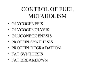 CONTROL OF FUEL
METABOLISM
• GLYCOGENESIS
• GLYCOGENOLYSIS
• GLUCONEOGENESIS
• PROTEIN SYNTHESIS
• PROTEIN DEGRADATION
• FAT SYNTHESIS
• FAT BREAKDOWN
 