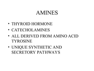 AMINES
• THYROID HORMONE
• CATECHOLAMINES
• ALL DERIVED FROM AMINO ACID
TYROSINE
• UNIQUE SYNTHETIC AND
SECRETORY PATHWAYS
 
