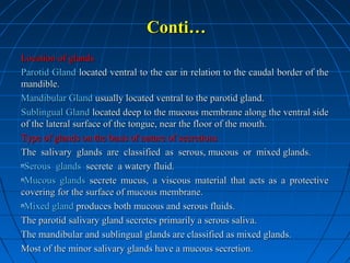 Conti…
Location of glands
Parotid Gland located ventral to the ear in relation to the caudal border of the
mandible.
Mandibular Gland usually located ventral to the parotid gland.
Sublingual Gland located deep to the mucous membrane along the ventral side
of the lateral surface of the tongue, near the floor of the mouth.
Type of glands on the basis of nature of secretions
The salivary glands are classified as serous, mucous or mixed glands.
nSerous glands secrete a watery fluid.
nMucous glands secrete mucus, a viscous material that acts as a protective
covering for the surface of mucous membrane.
nMixed gland produces both mucous and serous fluids.
The parotid salivary gland secretes primarily a serous saliva.
The mandibular and sublingual glands are classified as mixed glands.
Most of the minor salivary glands have a mucous secretion.

 