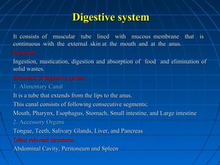 Digestive system
It consists of muscular tube lined with mucous membrane that is
continuous with the external skin at the mouth and at the anus.
Function
Ingestion, mastication, digestion and absorption of food and elimination of
solid wastes.
Elements of digestive system
1. Alimentary Canal
It is a tube that extends from the lips to the anus.
This canal consists of following consecutive segments;
Mouth, Pharynx, Esophagus, Stomach, Small intestine, and Large intestine
2. Accessory Organs
Tongue, Teeth, Salivary Glands, Liver, and Pancreas
Other relevant structures
Abdominal Cavity, Peritoneum and Spleen

 