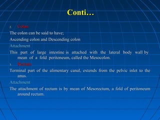 Conti…
Colon
The colon can be said to have;
Ascending colon and Descending colon
Attachment
This part of large intestine is attached with the lateral body wall by
mean of a fold peritoneum, called the Mesocolon.
3.
Rectum
Terminal part of the alimentary canal, extends from the pelvic inlet to the
anus.
Attachment
The attachment of rectum is by mean of Mesorectum, a fold of peritoneum
around rectum.
2.

 