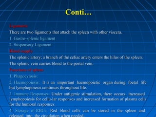 Conti…
Ligaments
There are two ligaments that attach the spleen with other viscera.
1. Gastro-splenic ligament
2. Suspensory Ligament
Blood supply
The splenic artery; a branch of the celiac artery enters the hilus of the spleen.
The splenic vein carries blood to the portal vein.
Functions of spleen
1. Phagocytosis:
2. Haemopoiesis: It is an important haemopoietic organ during foetal life
but lymphopoiesis continues throughout life.
3. Immune Responses: Under antigenic stimulation, there occurs increased
lymphopoiesis for cellu-lar responses and increased formation of plasma cells
for the humoral responses.
4. Storage of RBCs: Red blood cells can be stored in the spleen and

 