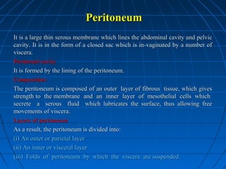 Peritoneum
It is a large thin serous membrane which lines the abdominal cavity and pelvic
cavity. It is in the form of a closed sac which is in-vaginated by a number of
viscera.
Peritoneal cavity
It is formed by the lining of the peritoneum.
Composition
The peritoneum is composed of an outer layer of fibrous tissue, which gives
strength to the membrane and an inner layer of mesothelial cells which
secrete a serous fluid which lubricates the surface, thus allowing free
movements of viscera.
Layers of peritoneum
As a result, the peritoneum is divided into:
(i) An outer or parietal layer
(ii) An inner or visceral layer
(iii) Folds of peritoneum by which the viscera are suspended.

 