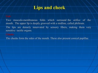 Lips and cheek
Lips
Two musculo-membranous folds which surround the orifice of the
mouth. The upper lip is deeply grooved with a midline, called philtrum.
The lips are densely innervated by sensory fibers, making them very
sensitive tactile organs.
Cheeks
The cheeks form the sides of the mouth. These also present conical papillae.

 