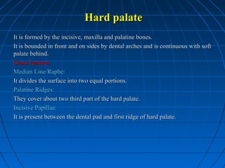Hard palate
It is formed by the incisive, maxilla and palatine bones.
It is bounded in front and on sides by dental arches and is continuous with soft
palate behind.
Gross features
Median Line/Raphe:
It divides the surface into two equal portions.
Palatine Ridges:
They cover about two third part of the hard palate.
Incisive Papillae:
It is present between the dental pad and first ridge of hard palate.

 