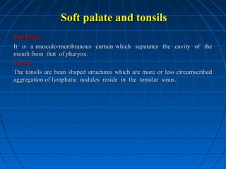 Soft palate and tonsils
Soft Palate
It is a musculo-membranous curtain which separates the cavity of the
mouth from that of pharynx.
Tonsils
The tonsils are bean shaped structures which are more or less circumscribed
aggregation of lymphatic nodules reside in the tonsilar sinus.

 