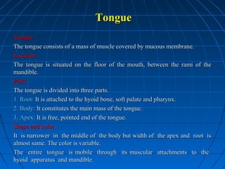 Tongue
Tongue
The tongue consists of a mass of muscle covered by mucous membrane.
Location
The tongue is situated on the floor of the mouth, between the rami of the
mandible.
Parts
The tongue is divided into three parts.
1. Root: It is attached to the hyoid bone, soft palate and pharynx.
2. Body: It constitutes the main mass of the tongue.
3. Apex: It is free, pointed end of the tongue.
Shape and color
It is narrower in the middle of the body but width of the apex and root is
almost same. The color is variable.
The entire tongue is mobile through its muscular attachments to the
hyoid apparatus and mandible.

 