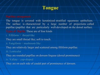 Tongue
Papillary arrangement
The tongue is covered with keratinized stratified squamous epithelium.
The surface is characterized by a large number of projections called
papillae (papilla) that are particularly well-developed on the dorsal surface.
Types of Papilla: These are of four kinds
i. Filliform = thread-like
They are small thread like; soft to touch.
ii. Fungiform = mushroom like
They are relatively larger and scattered among filliform papillae.
iii. Lenticular
They are rounded papillae on dorsum linguae (dorsal prominence)
iv. Vallate = cup-shaped
They are on each side of caudal part of prominence of dorsum.

 
