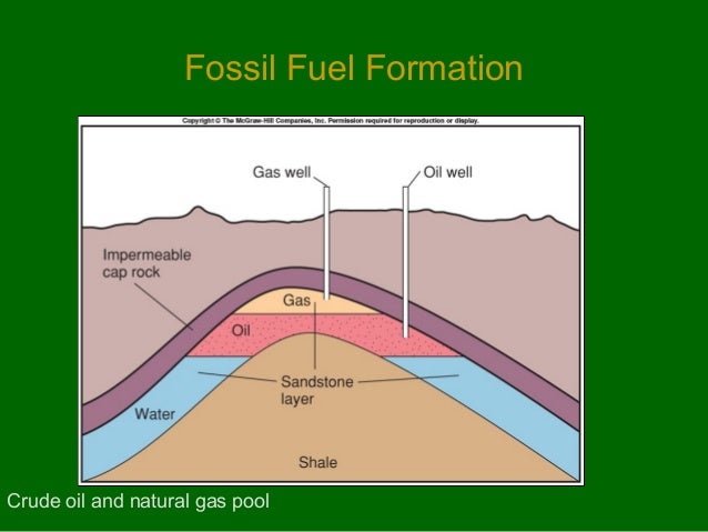 Oil And Natural Gas Originated From In Marine Sediments Oil And Natural Gas Originated From In Marine Sediments