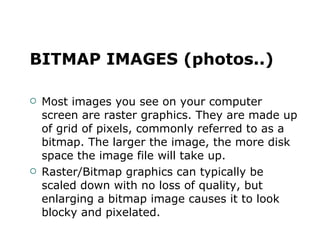 BITMAP IMAGES (photos..) Most images you see on your computer screen are raster graphics. They are made up of grid of pixels, commonly referred to as a bitmap. The larger the image, the more disk space the image file will take up. Raster/Bitmap graphics can typically be scaled down with no loss of quality, but enlarging a bitmap image causes it to look blocky and pixelated. 