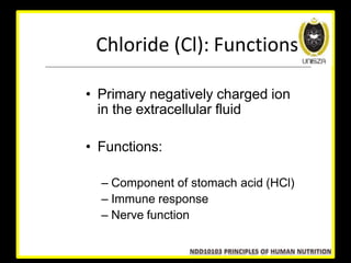 Lecture 9 nutrients involved in fluid and electrolyte balance | PPTX