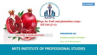 PRESENTED BY:
RAKESH KUMAR PATTNAIK
Asst. Prof. Horticulture
MITS INSTITUTE OF PROFESSIONAL STUDIES
Production technology for fruit and plantation crops-
HT-244 (2+1)
Dt- 27-05-20
LECTURE 3. POMEGRANATE
 