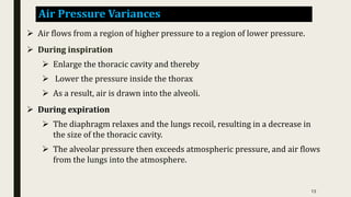 Air Pressure Variances
 Air flows from a region of higher pressure to a region of lower pressure.
 During inspiration
 Enlarge the thoracic cavity and thereby
 Lower the pressure inside the thorax
 As a result, air is drawn into the alveoli.
 During expiration
 The diaphragm relaxes and the lungs recoil, resulting in a decrease in
the size of the thoracic cavity.
 The alveolar pressure then exceeds atmospheric pressure, and air flows
from the lungs into the atmosphere.
13
 