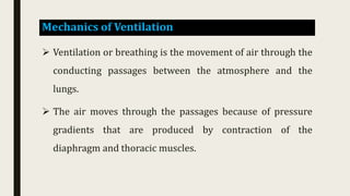 Mechanics of Ventilation
 Ventilation or breathing is the movement of air through the
conducting passages between the atmosphere and the
lungs.
 The air moves through the passages because of pressure
gradients that are produced by contraction of the
diaphragm and thoracic muscles.
 