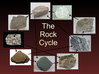 The Rock Cycle 