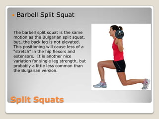Split Squats
 Barbell Split Squat
The barbell split squat is the same
motion as the Bulgarian split squat,
but…the back leg is not elevated.
This positioning will cause less of a
“stretch” in the hip flexors and
extensors. It is another nice
variation for single leg strength, but
probably a little less common than
the Bulgarian version.
 