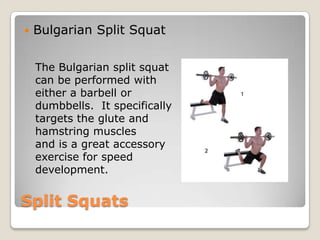 Split Squats
 Bulgarian Split Squat
The Bulgarian split squat
can be performed with
either a barbell or
dumbbells. It specifically
targets the glute and
hamstring muscles
and is a great accessory
exercise for speed
development.
 