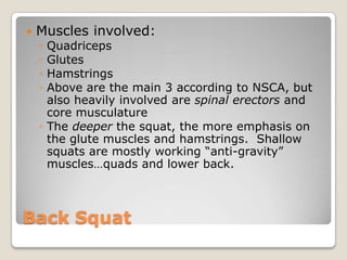 Back Squat
 Muscles involved:
◦ Quadriceps
◦ Glutes
◦ Hamstrings
◦ Above are the main 3 according to NSCA, but
also heavily involved are spinal erectors and
core musculature
◦ The deeper the squat, the more emphasis on
the glute muscles and hamstrings. Shallow
squats are mostly working “anti-gravity”
muscles…quads and lower back.
 