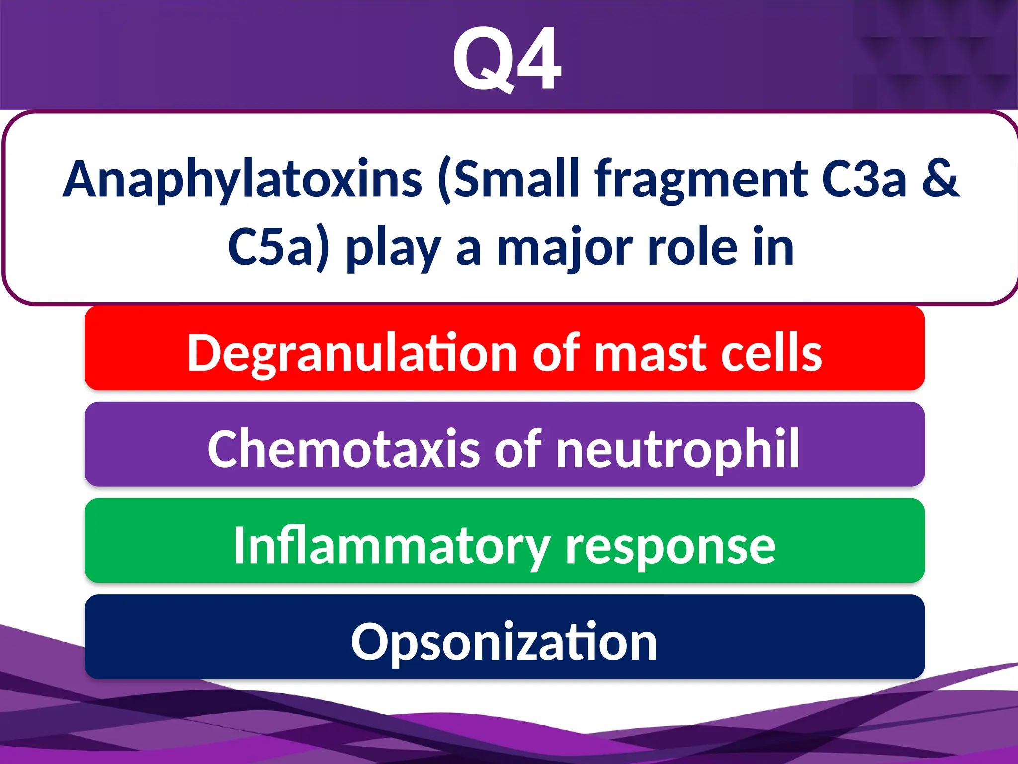 Q4
Monocyte
2-3 days
Anaphylatoxins (Small fragment C3a &
C5a) play a major role in
Degranulation of mast cells
Chemotaxis of neutrophil
Inflammatory response
Opsonization
 