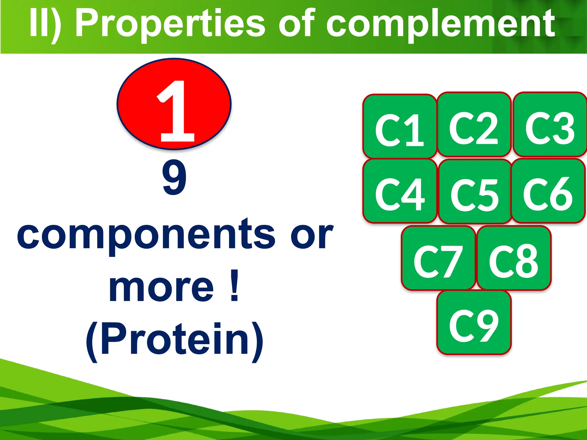 II) Properties of complement
C2 C3
C1
C4 C5 C6
C7 C8
C9
9
components or
more !
(Protein)
1
 