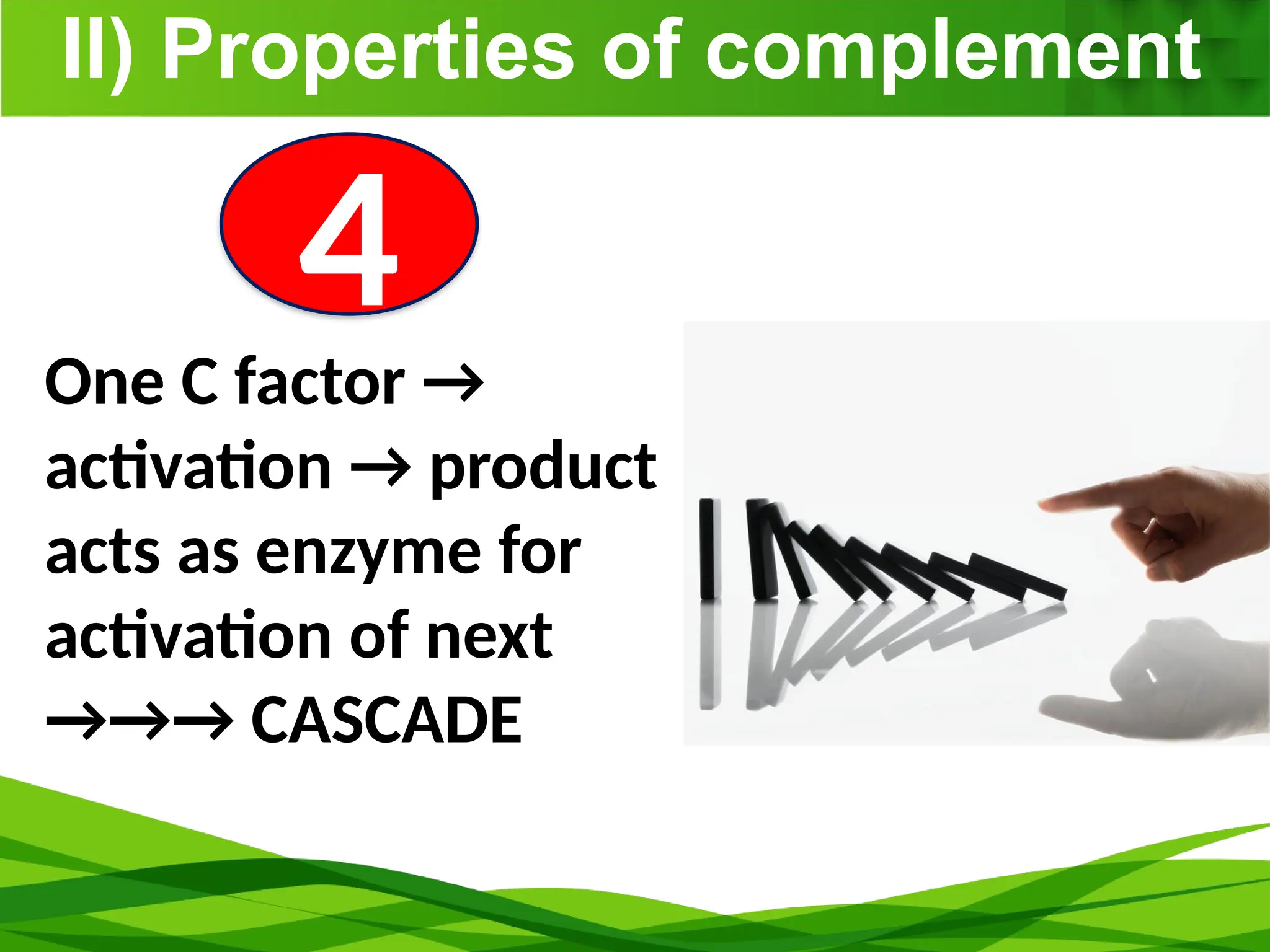 II) Properties of complement
4
One C factor →
activation → product
acts as enzyme for
activation of next
→→→ CASCADE
 