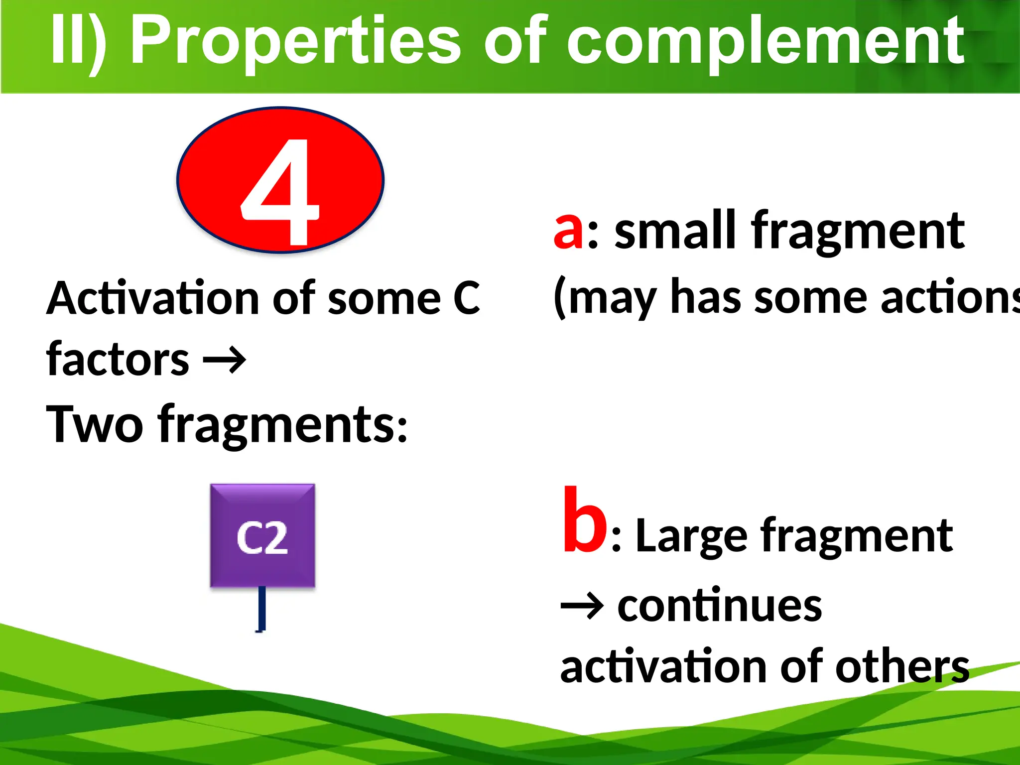 II) Properties of complement
4
Activation of some C
factors →
Two fragments:
C2a
a: small fragment
(may has some actions
b: Large fragment
→ continues
activation of others
 