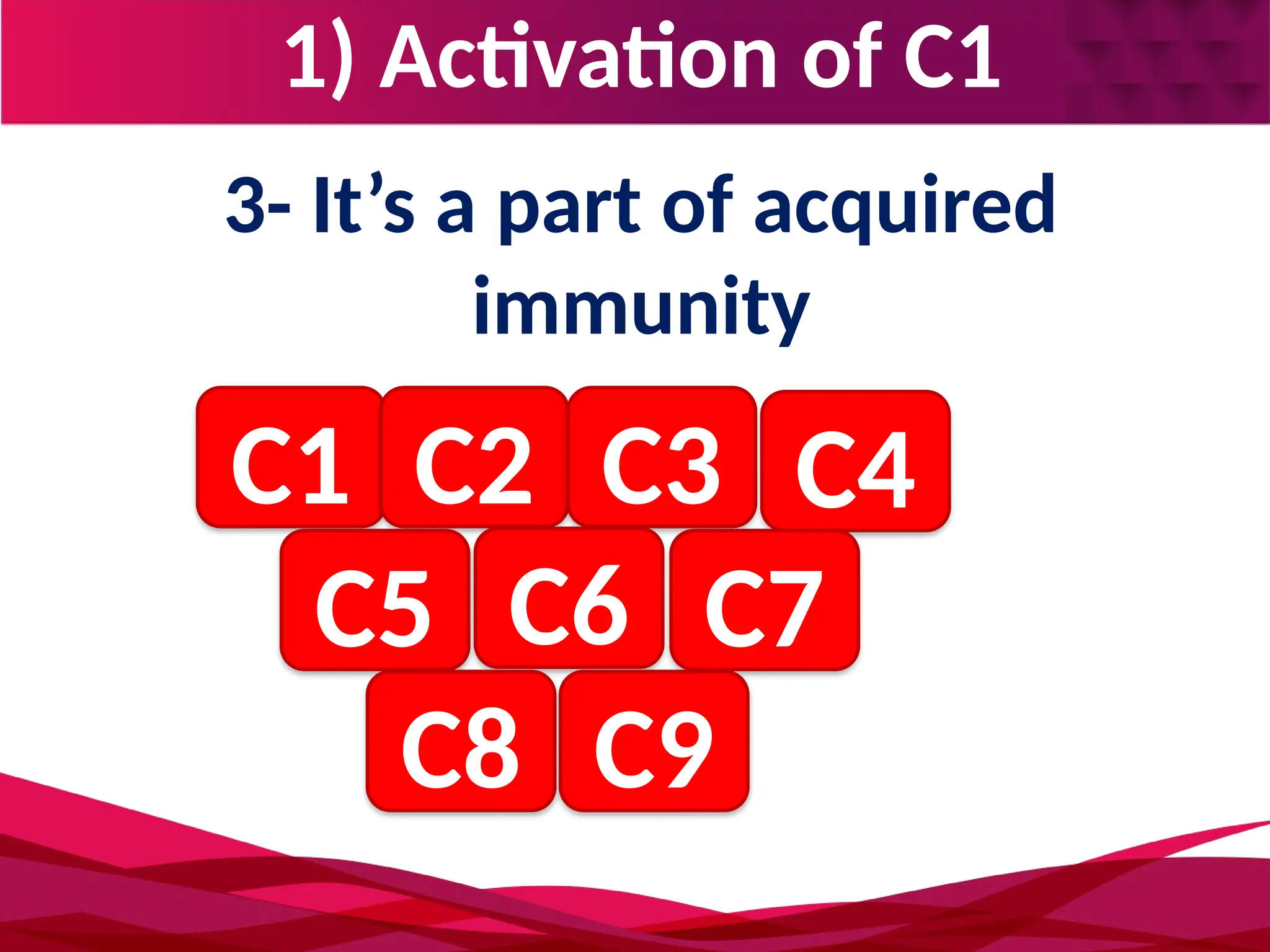 1) Activation of C1
3- It’s a part of acquired
immunity
C1 C2 C3 C4
C5 C6 C7
C8 C9
 