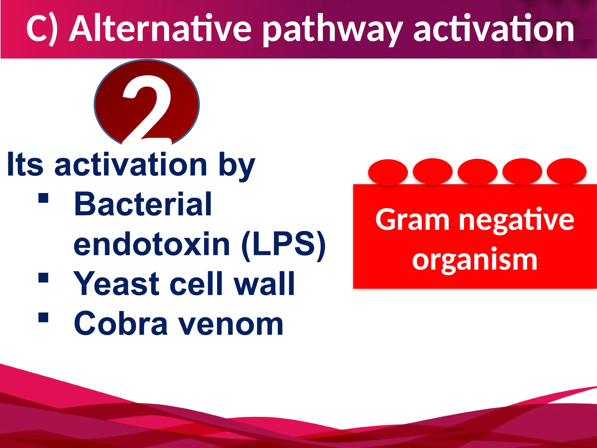 C) Alternative pathway activation
Its activation by
 Bacterial
endotoxin (LPS)
 Yeast cell wall
 Cobra venom
2
Gram negative
organism
 