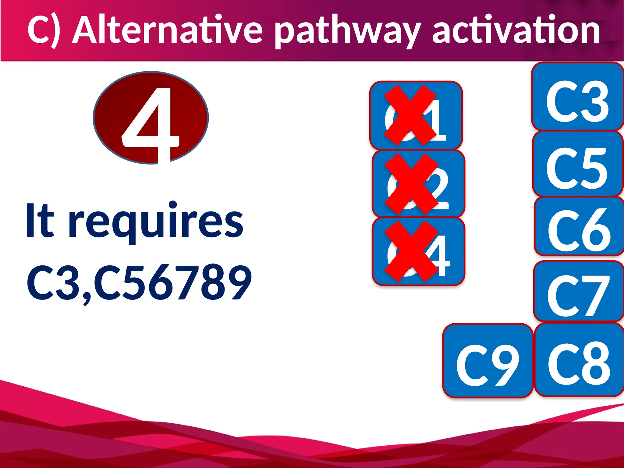 C) Alternative pathway activation
4
It requires
C3,C56789
C3
C5
C6
C7
C8
C9
C1
C2
C4
 