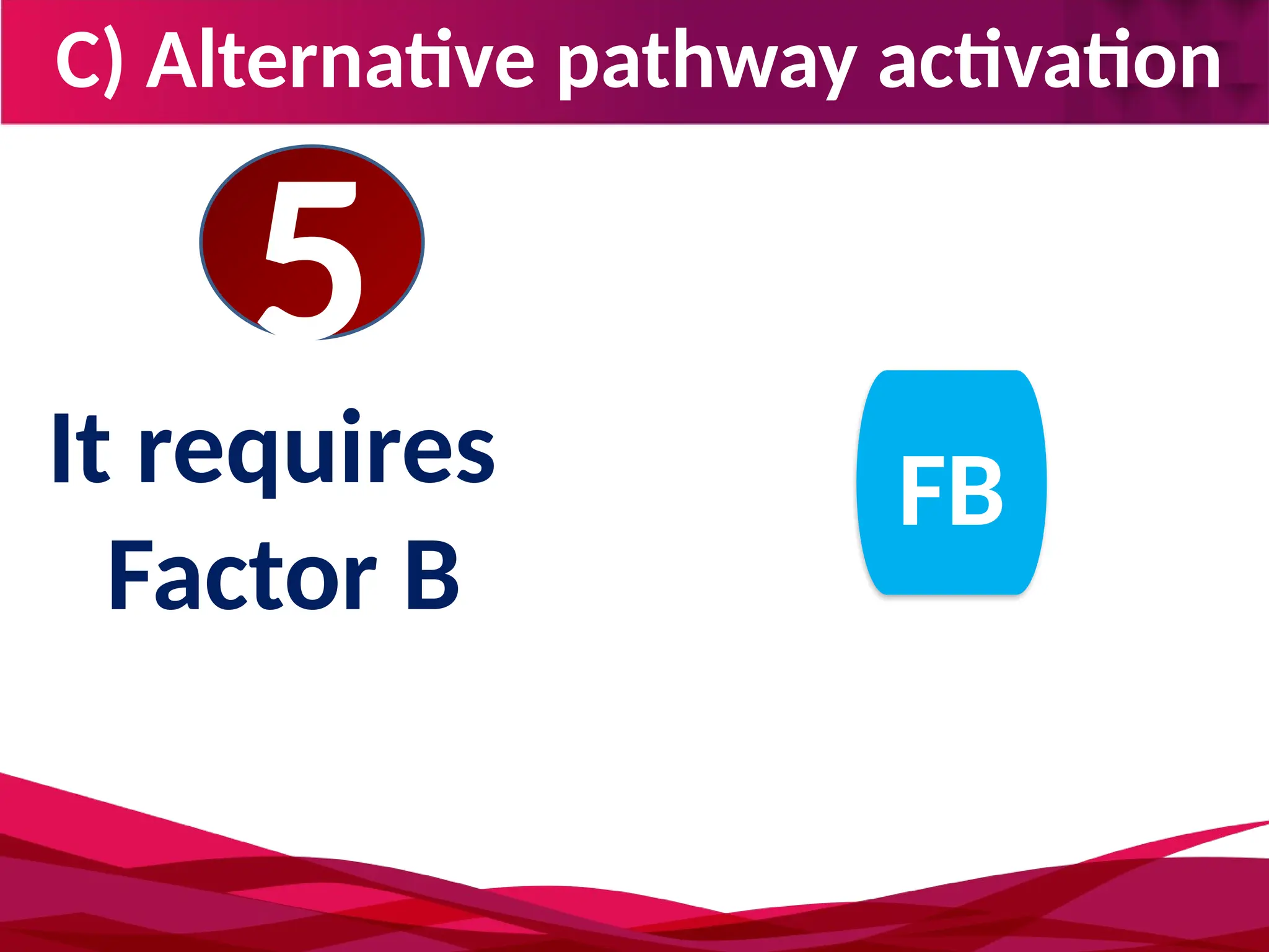C) Alternative pathway activation
5
It requires
Factor B
FB
 